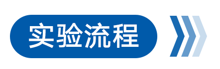 实验流程.png